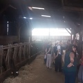 2023 AMAP de Trélazé - visite de ferme