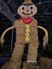 Amap-en-fetes2025amapgny (2)